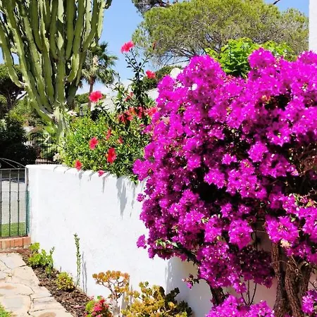 Con Jardin Y Piscina En Playa Apartament