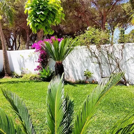 Con Jardin Y Piscina En Playa * Estepona